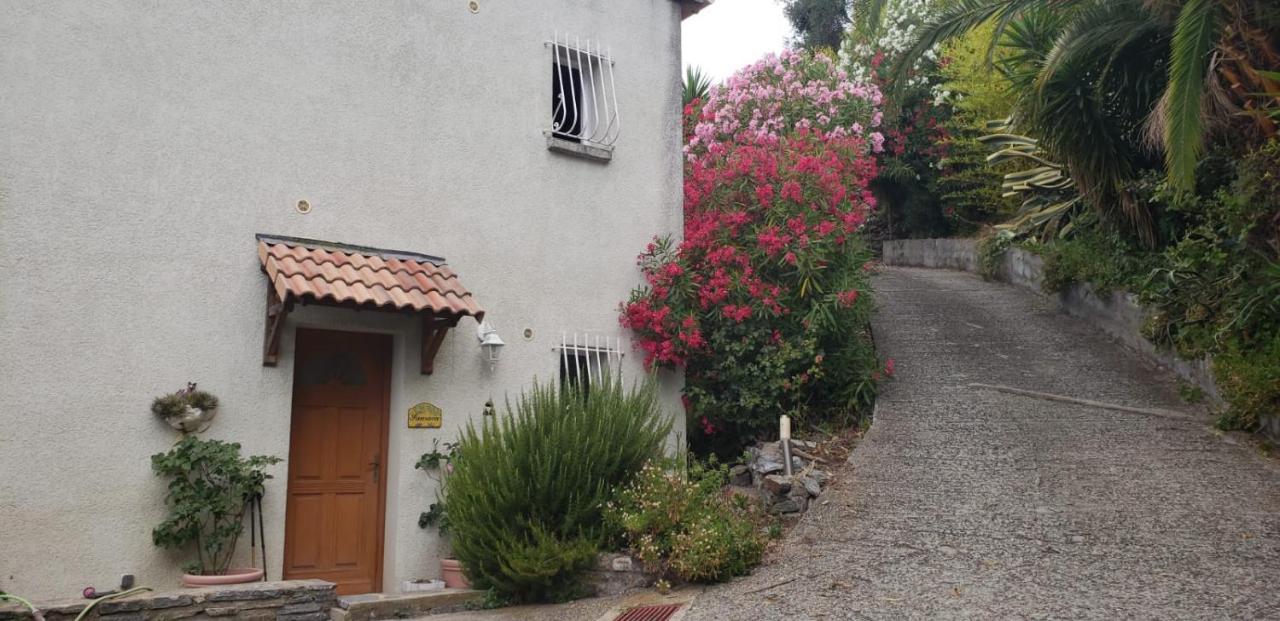 Casa Di Vadella Bed and Breakfast Sant' Andrea-di-Cotone Exterior foto